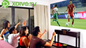 xoivo tv có thể cập nhật lịch thi đấu bóng đá các giải đấu nào?